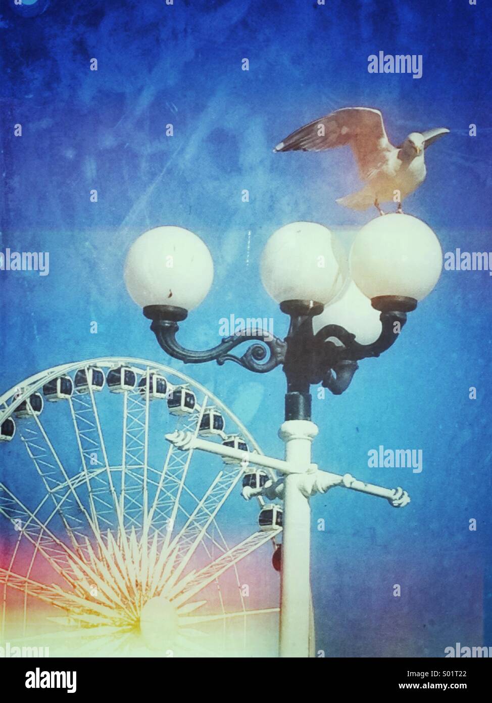 Silbermöwe sitzt auf einem alten altmodisch Straßenleuchte mit dem Brighton-Rad im Hintergrund in der Küstenstadt Stadt Brighton, England, UK - Smartphone-aufgenommenes Stockfoto