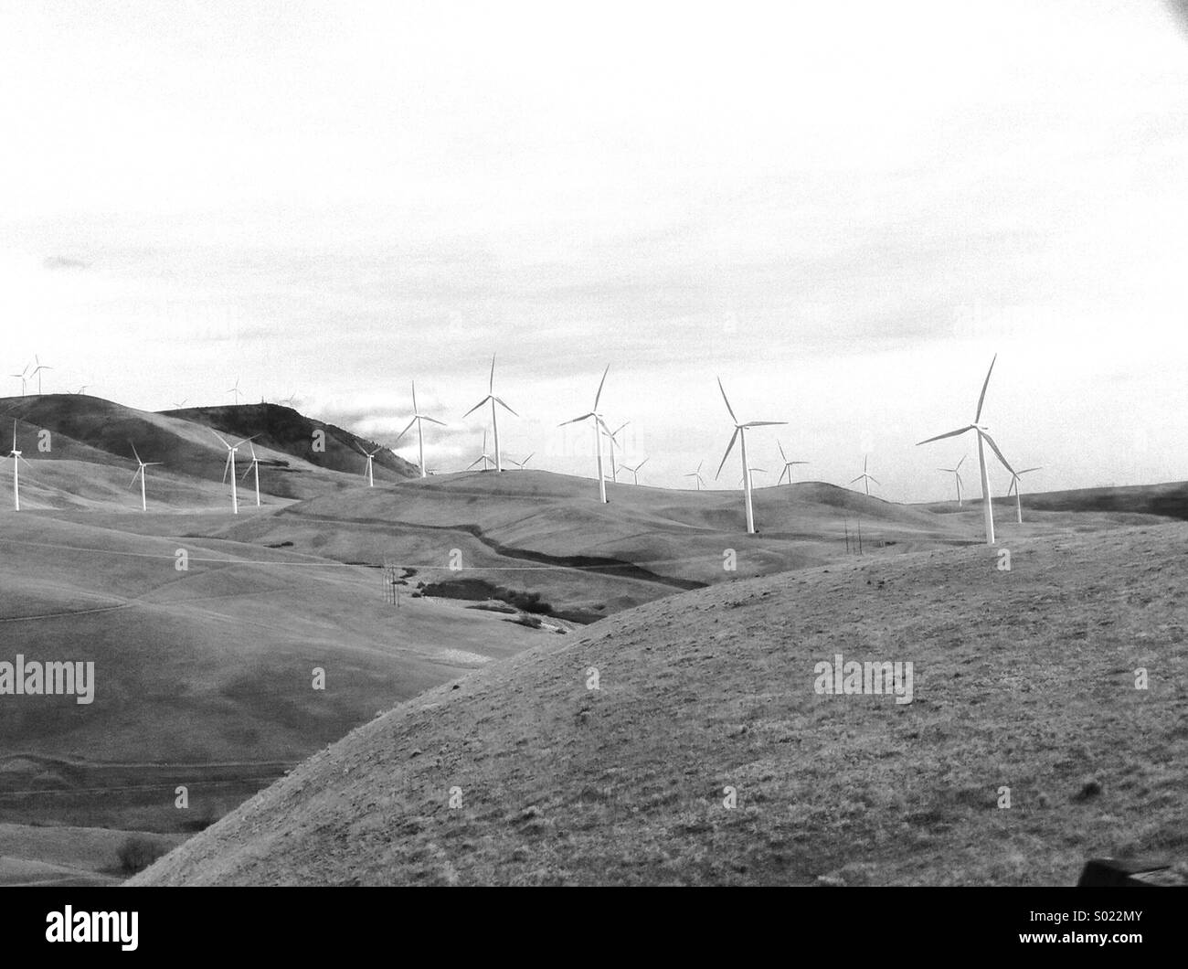 Windmühlen auf sanften Hügeln Stockfoto