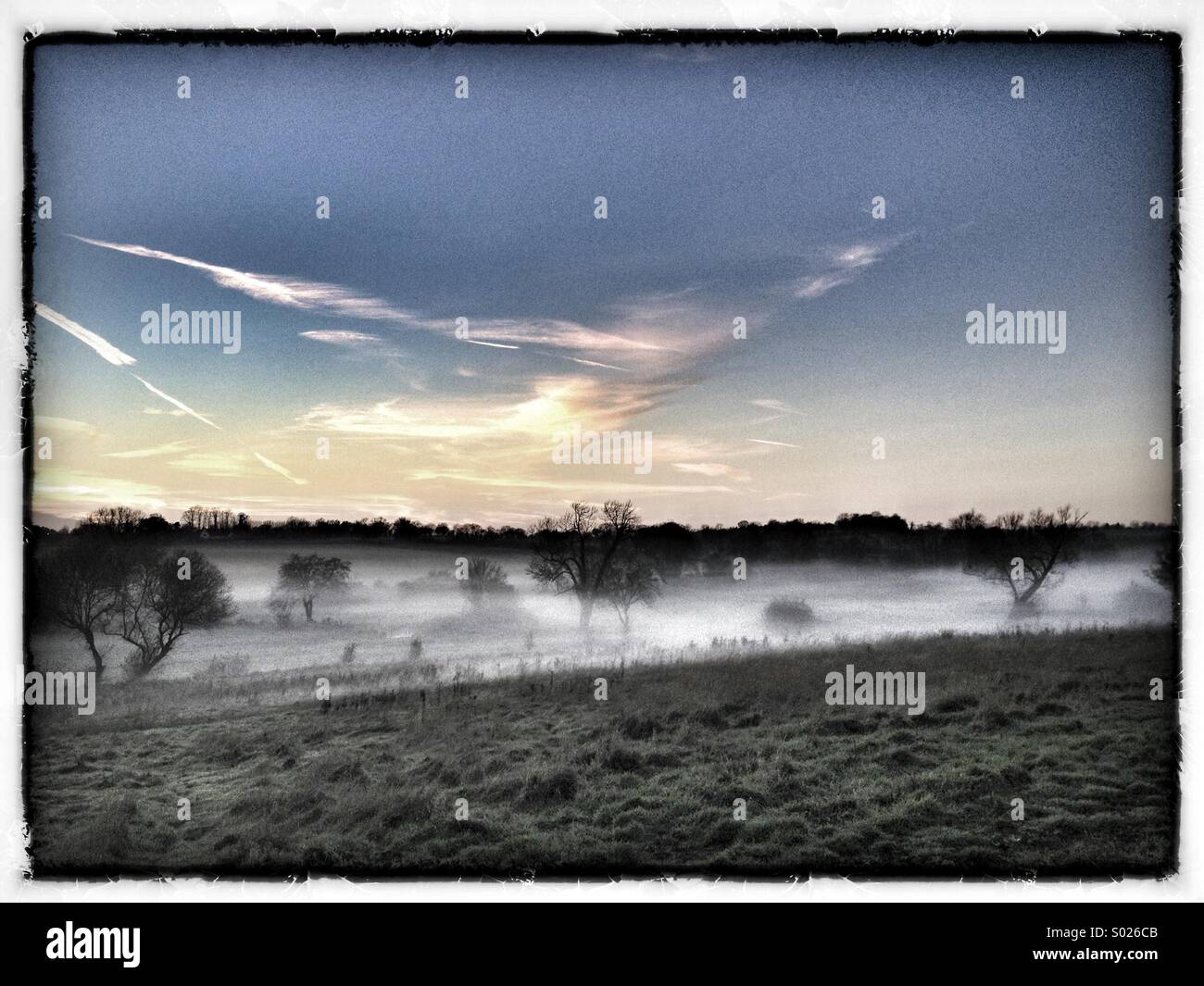 Morgennebel im Tal, Suffolk, blauer Himmel, Sonnenaufgang, Bäume, Feld, Stockfoto