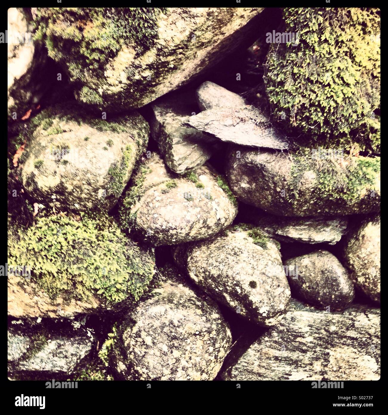 Moos bedeckte Wand in den Lake District National park Stockfoto