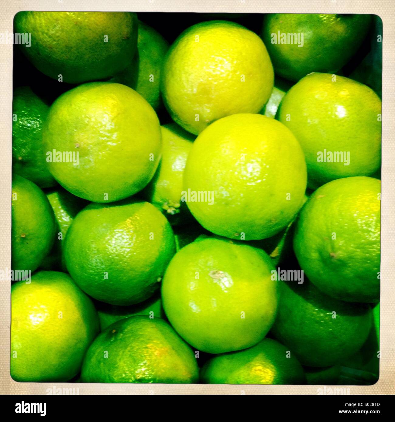 Grünen Limetten in Marktstand Stockfoto