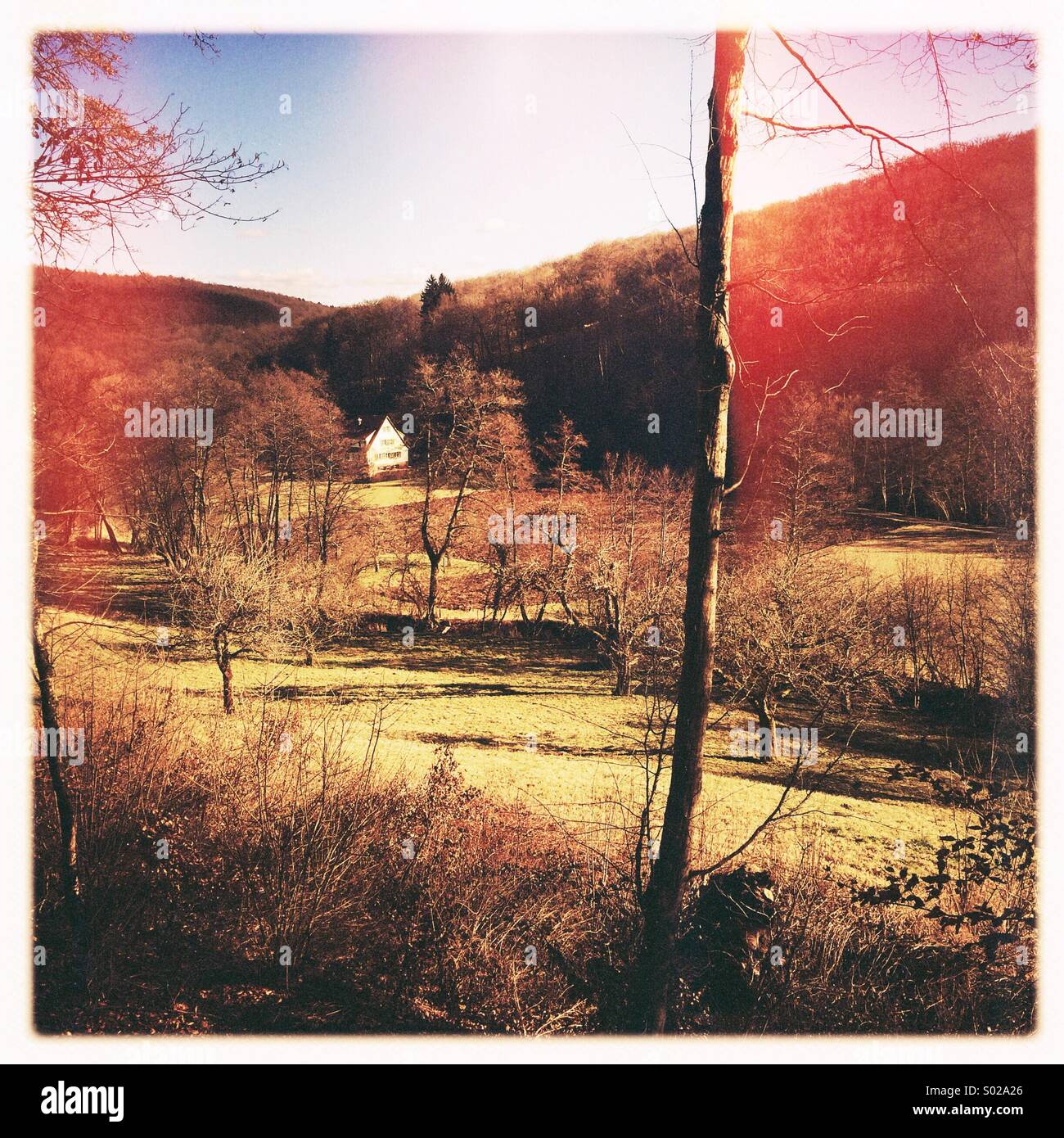 Landschaft in der Nähe von Bebenhausen Natur Park Schoenbuch Deutschland Stockfoto