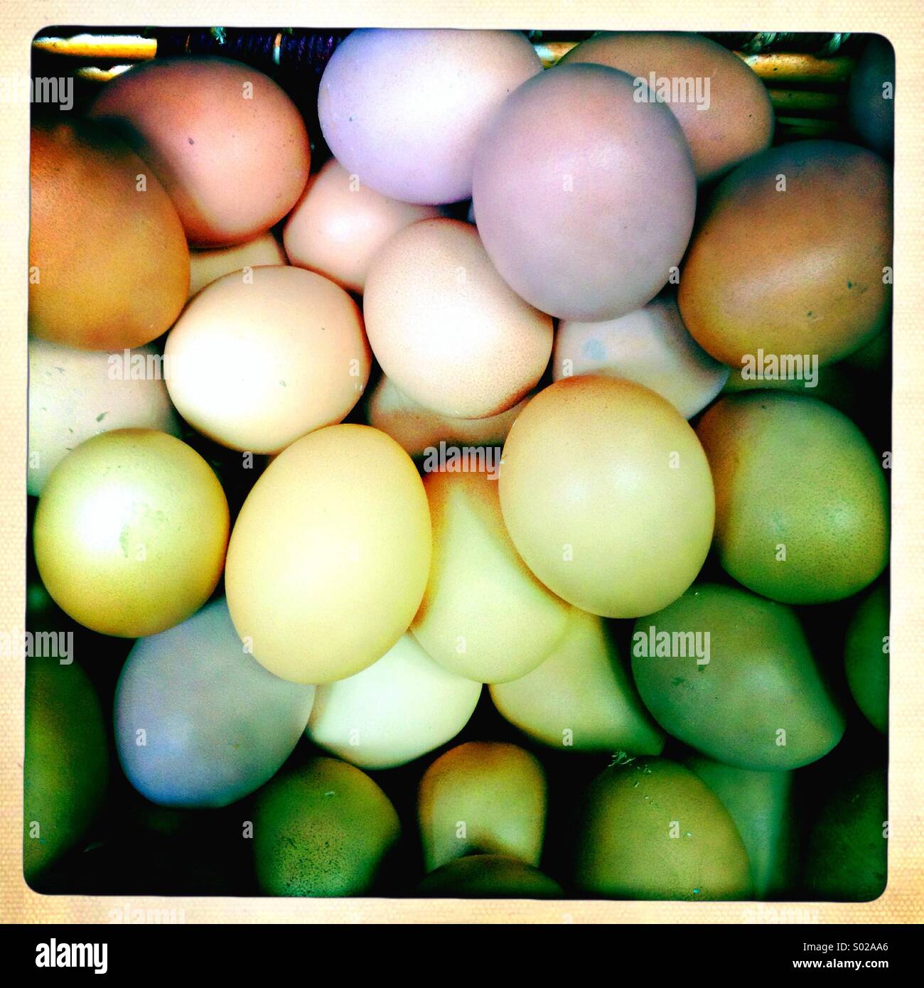 Eiern in einem Korb Stockfoto