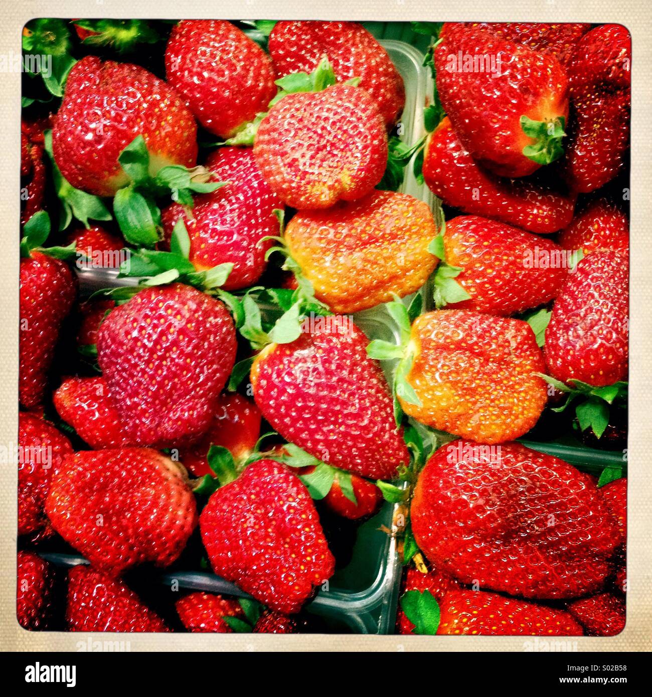 Rote Erdbeeren Stockfoto