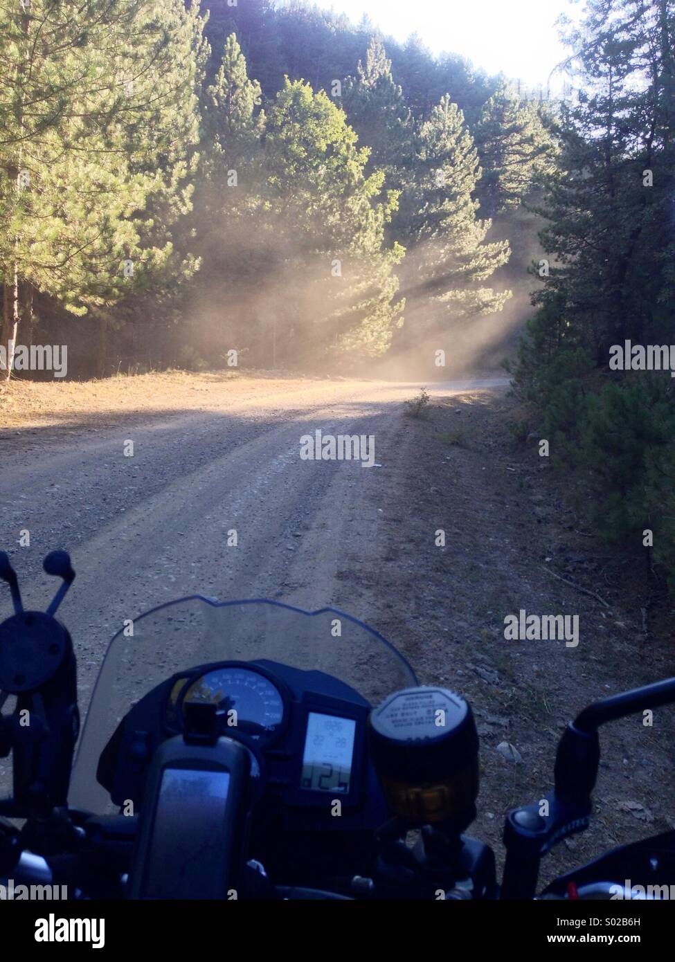 Biker auf ofroad Stockfoto