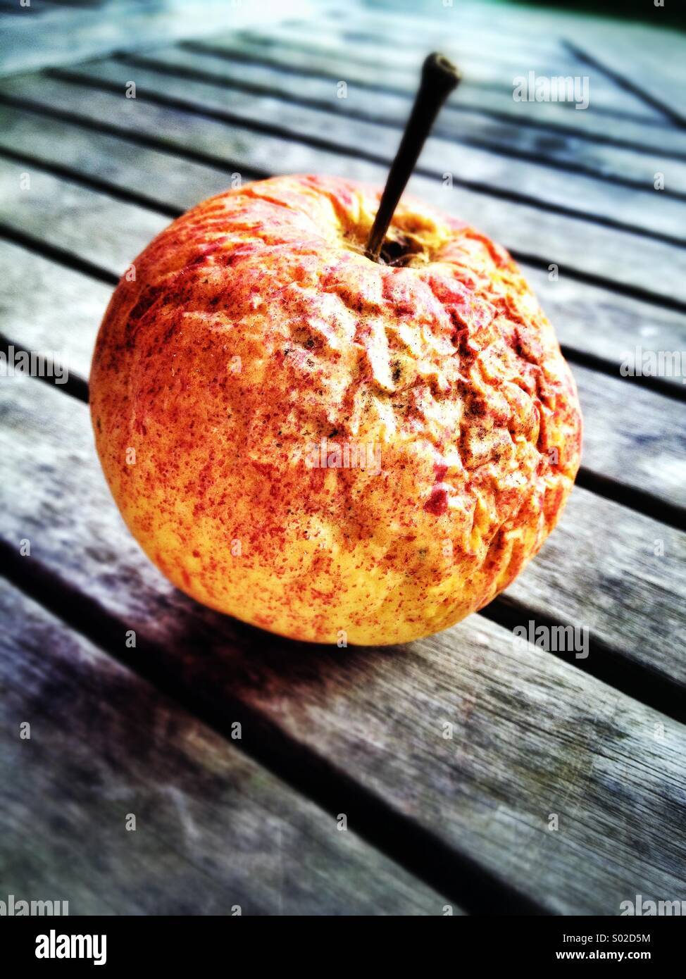 Faltige Apple Stilllife Stockfoto