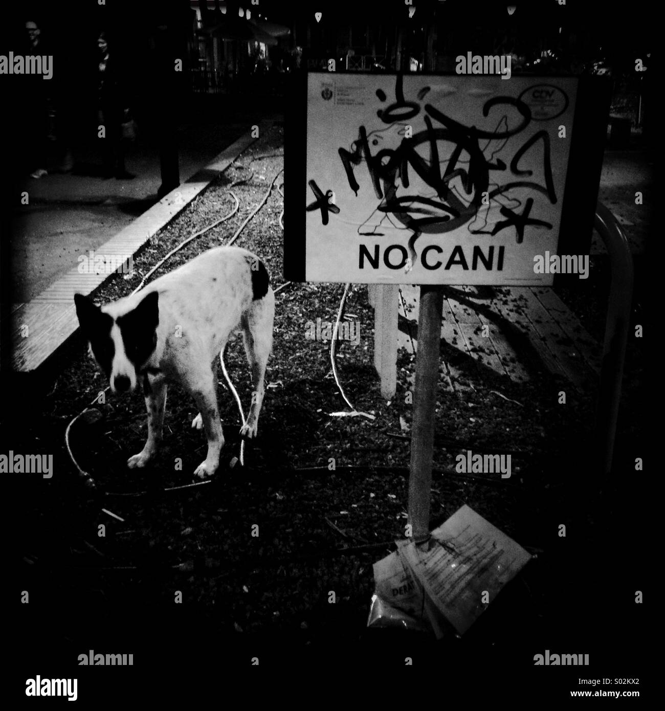 Hundeverbot Park lustige Szene Diskriminierung Stockfoto