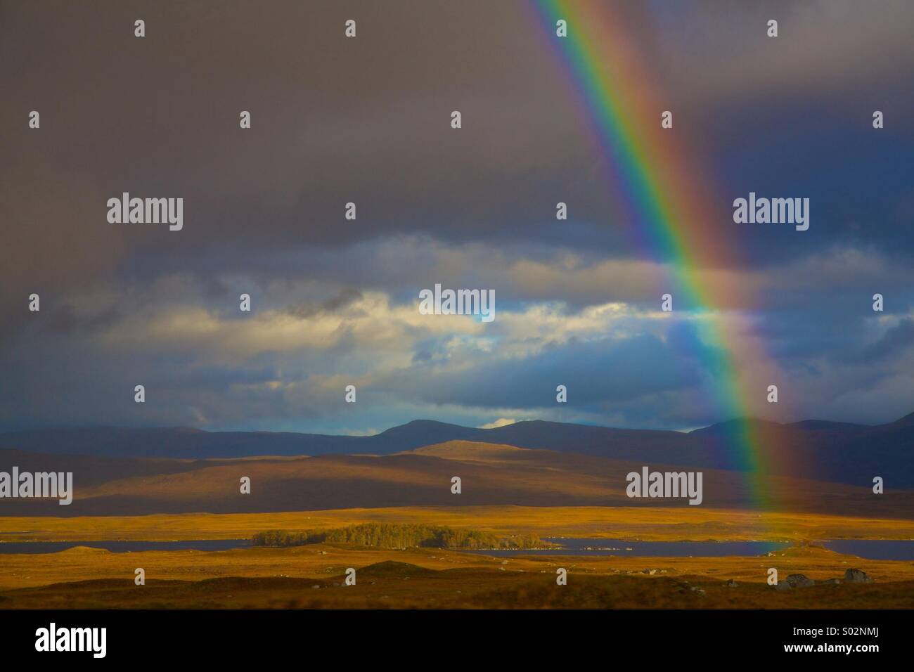 Regenbogen auf blauem Himmel, England Grenzen Stockfoto
