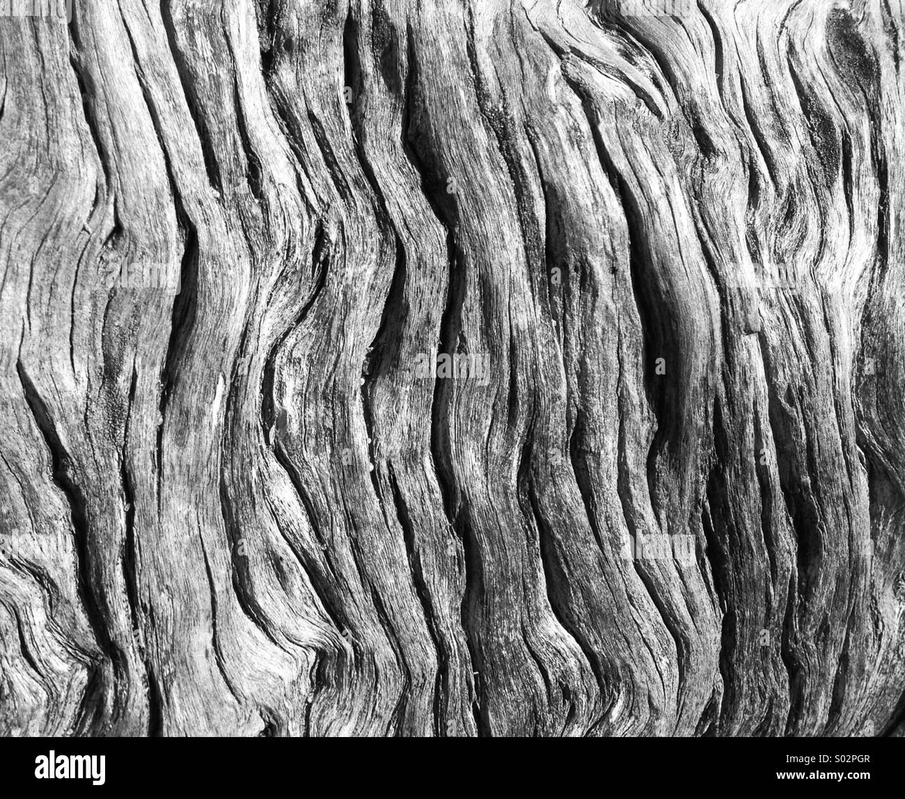 Eine Nahaufnahme von verwittertem Holz - Smartphone-aufgenommenes Stockfoto