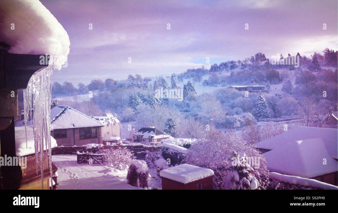 Winter Stockfoto