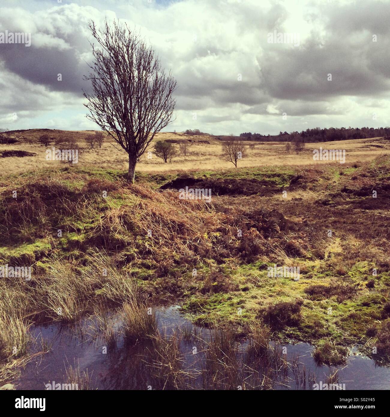 Eine schottische Landschaft Stockfoto