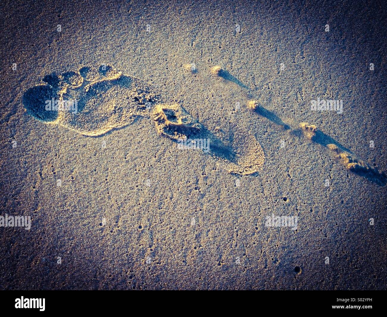 Fußabdruck im sand Stockfoto