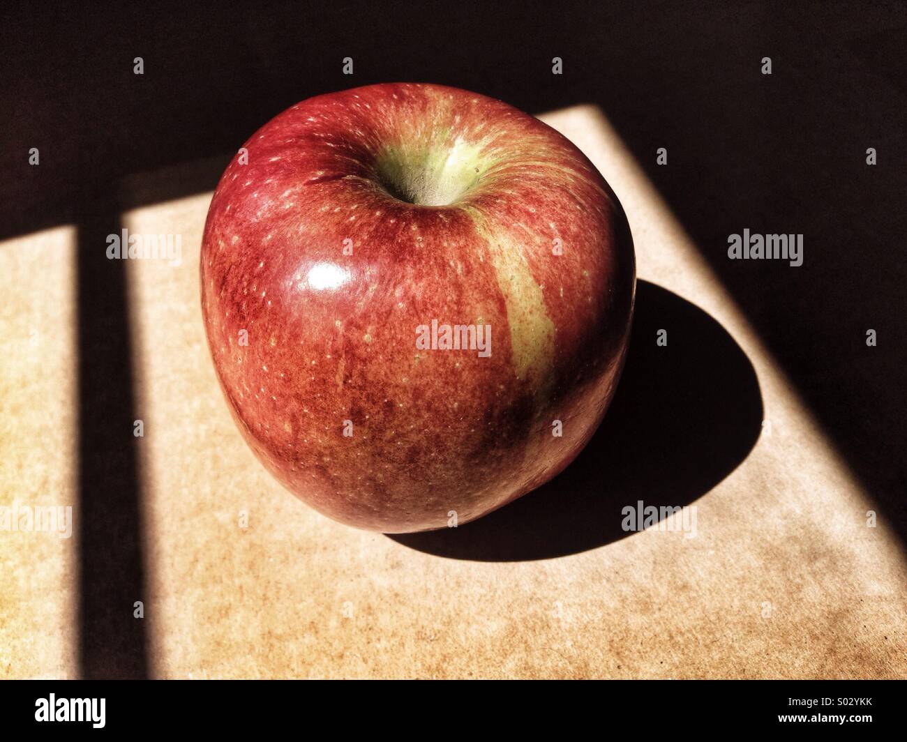 Apple im Sonnenlicht Stockfoto