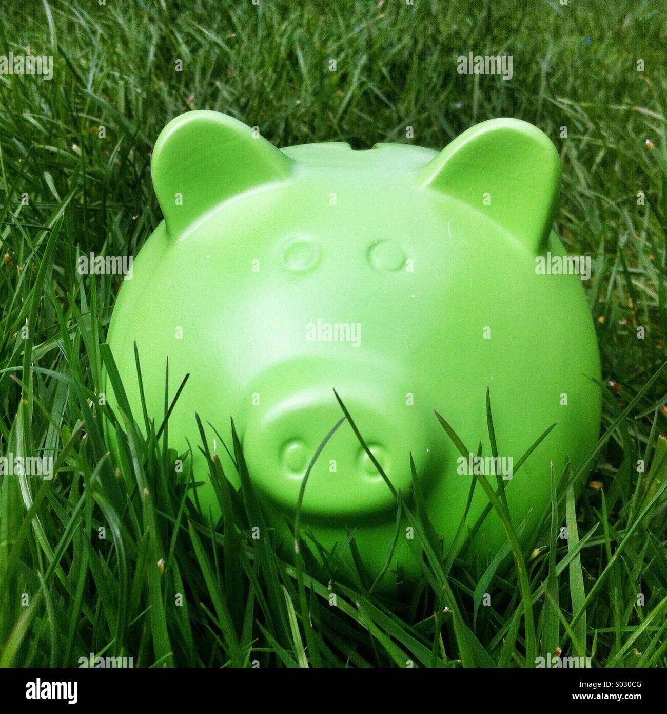 Grüne Sparschachtel im Bankstil in langem grünen Gras - Smartphone-aufgenommenes Stockfoto