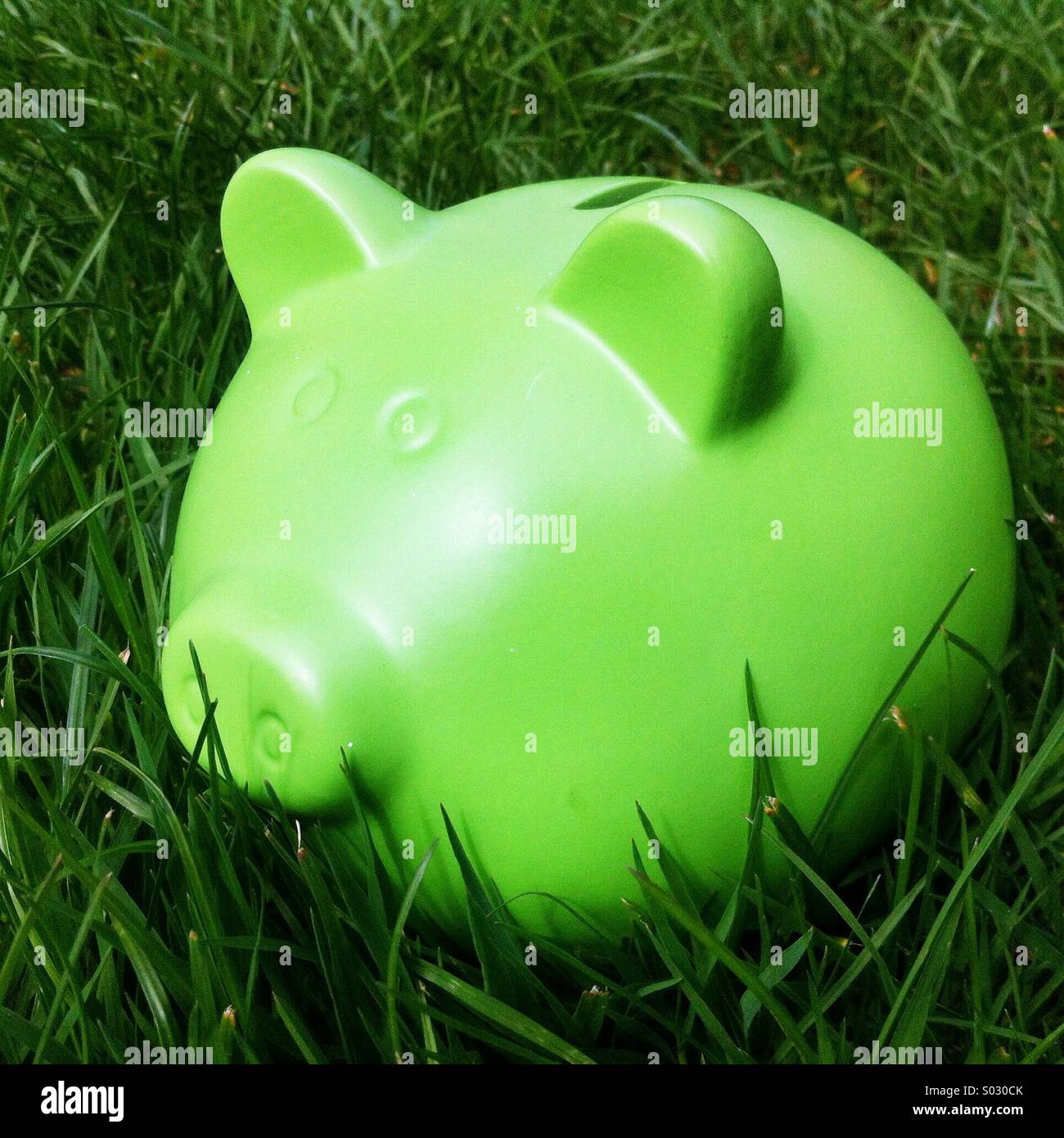 Sparschwein Spardose - Smartphone-aufgenommenes Stockfoto