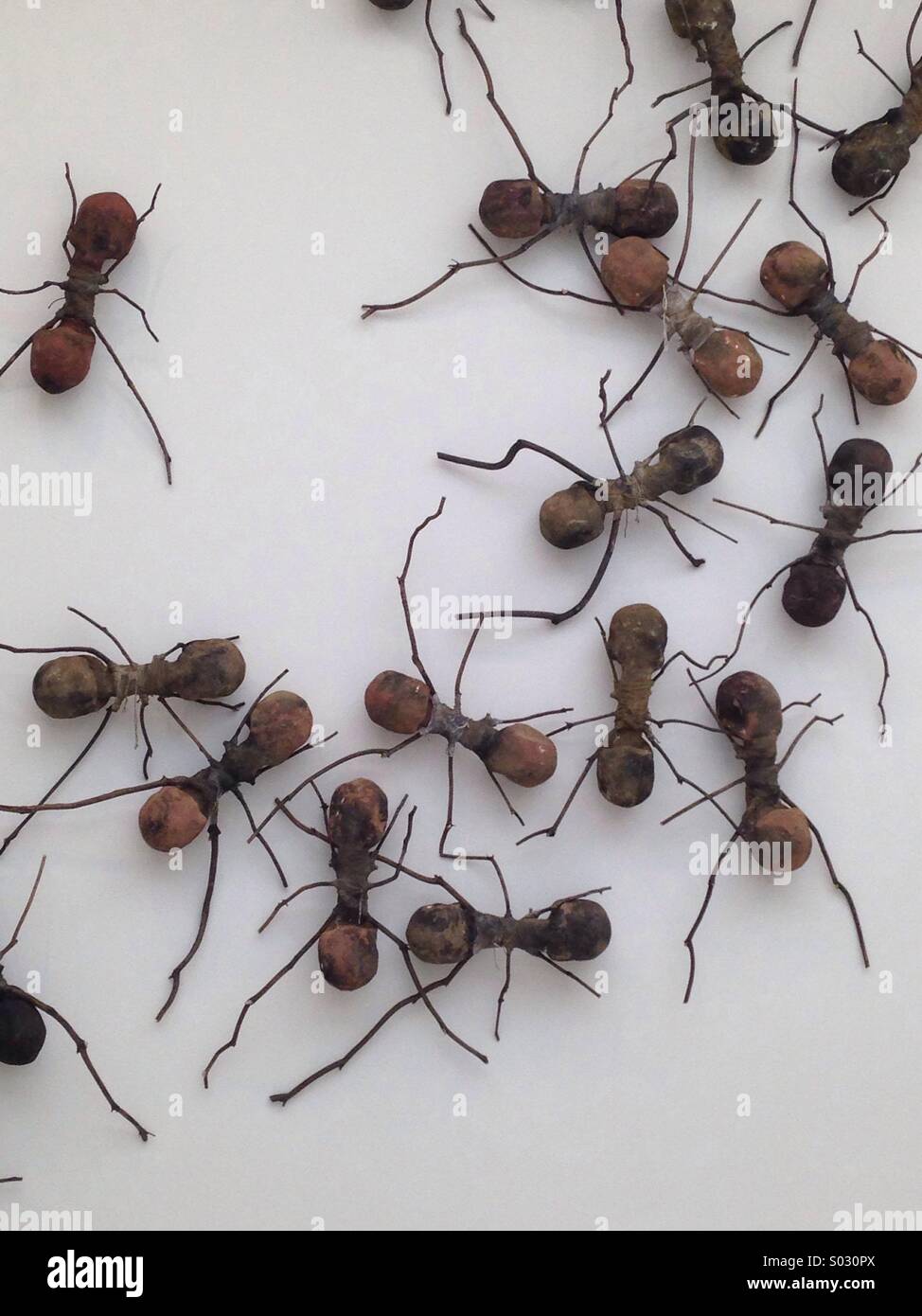 Ameisen-Kunstwerk-Faser und Leinwand - Smartphone-aufgenommenes Stockfoto