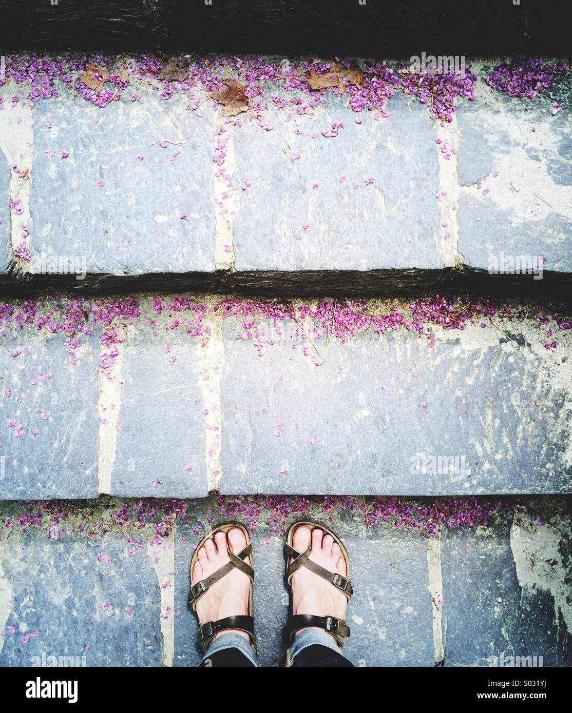 Füße in Sandalen auf Schiefer Treppe mit Redbud Blütenblätter. Stockfoto