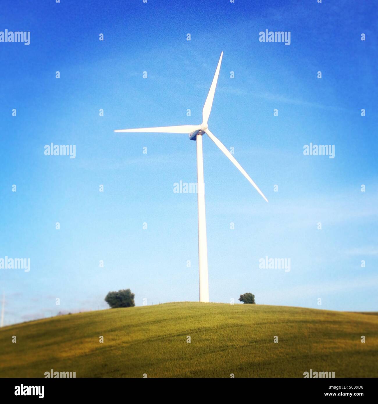Eine Windmühle in einem abgeholzten landen in Paterna De La Rivera, Provinz Cadiz, Andalusien, Spanien Stockfoto