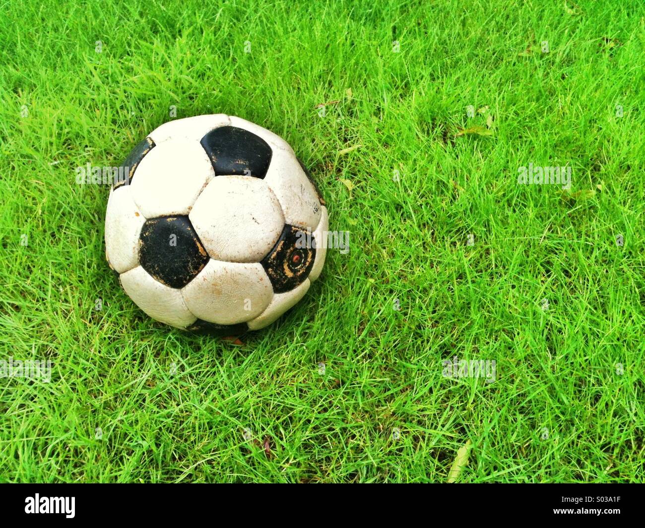 Alte Fußball auf dem Rasen. Stockfoto