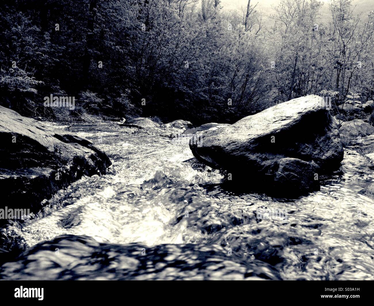 Der Fluss Stockfoto