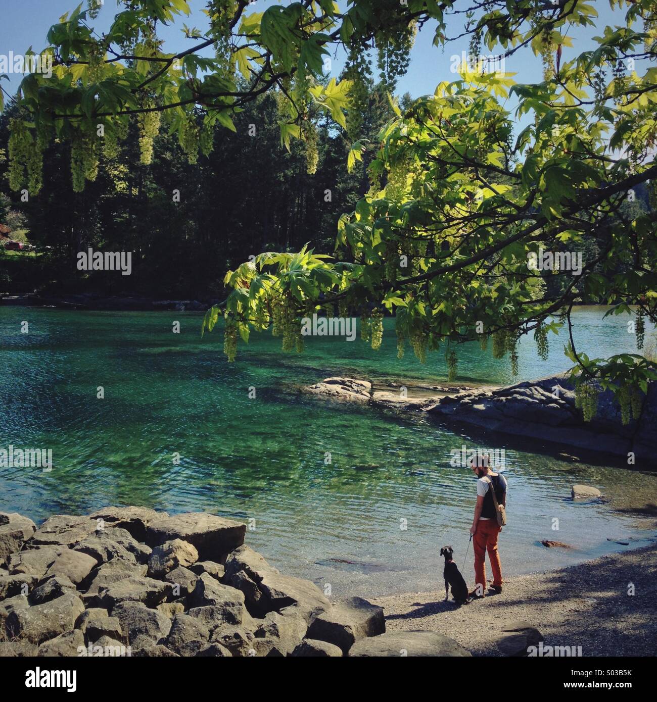 Mensch und Hund stehen am Strand an einer kleinen Bucht mit Felsen und Bäumen. Stockfoto