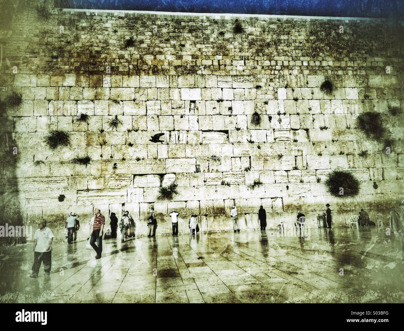 Western Wall, Jerusalem Stockfoto