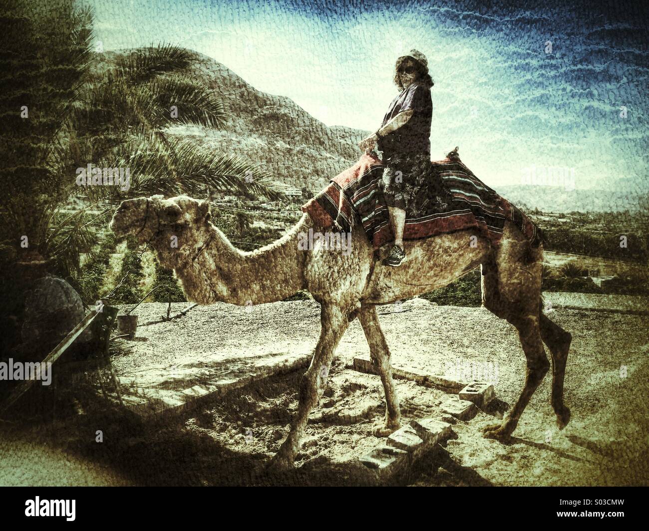Asiatische Frau, die ein Kamel reiten Stockfoto