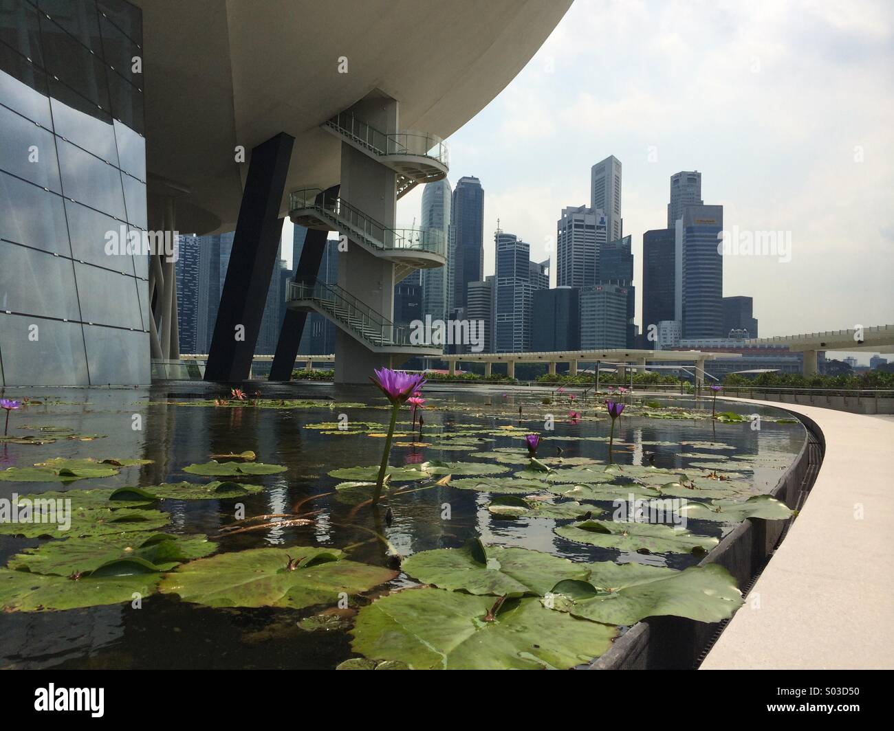 Skyline von Singapur mit Seerosenteich im Vordergrund Stockfoto