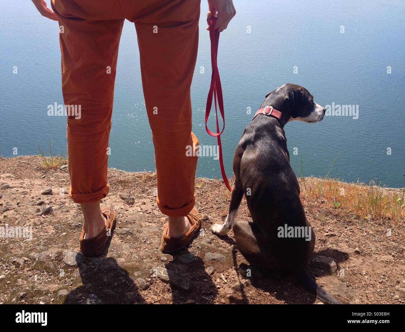 Mannes Beine und Hand mit Hund hoch auf einer Klippe mit Blick auf Meer in der Sonne. Stockfoto