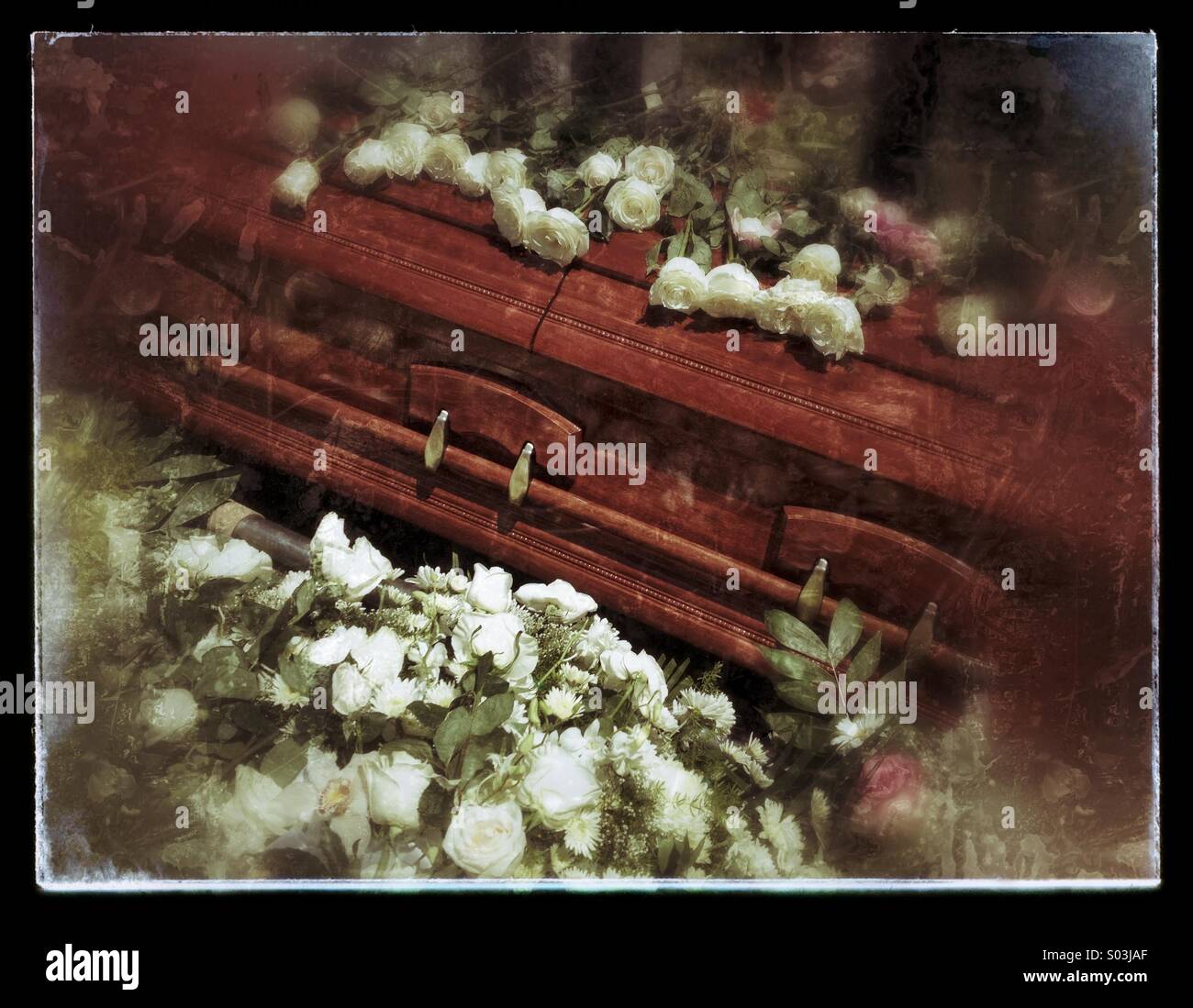 Sarg umgeben und bedeckt mit Blumen am Grab, bereit für das Begräbnis Stockfoto