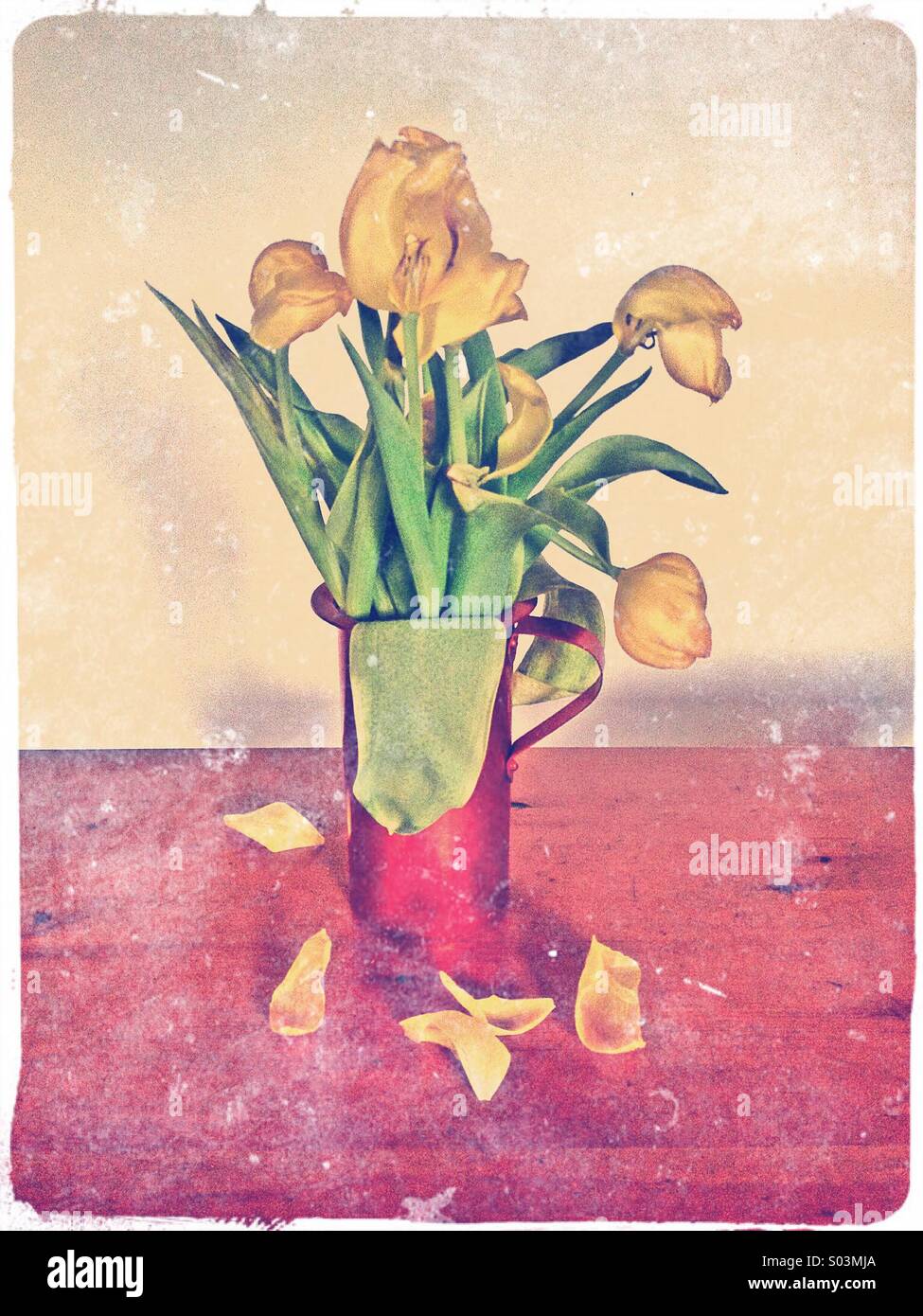 Gelbe Tulpen in rote Vase, verblichene Blüten mit Blütenblättern herunterfallen Stockfoto