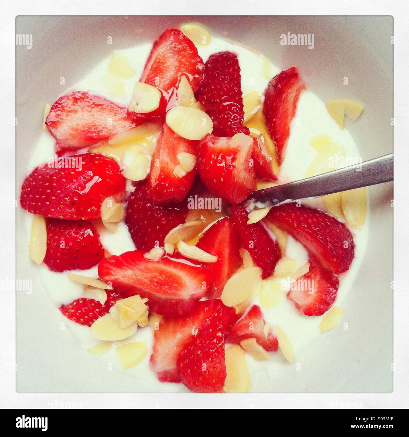 Gesundes Frühstück Naturjoghurt, Erdbeeren, Flocken Mandeln und Honig Stockfoto