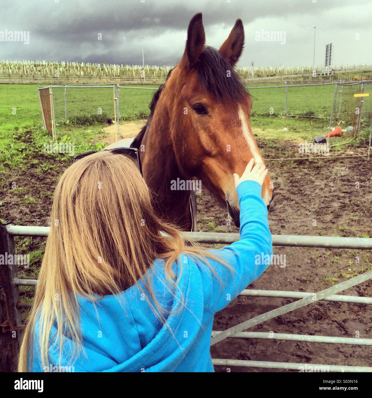 Junges Mädchen streichelt ein Pferd Stockfoto