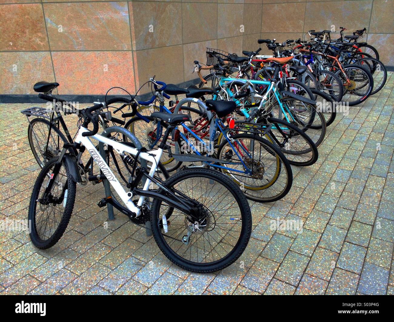 Fahrräder in einem Fahrradträger, verarbeitet. Stockfoto