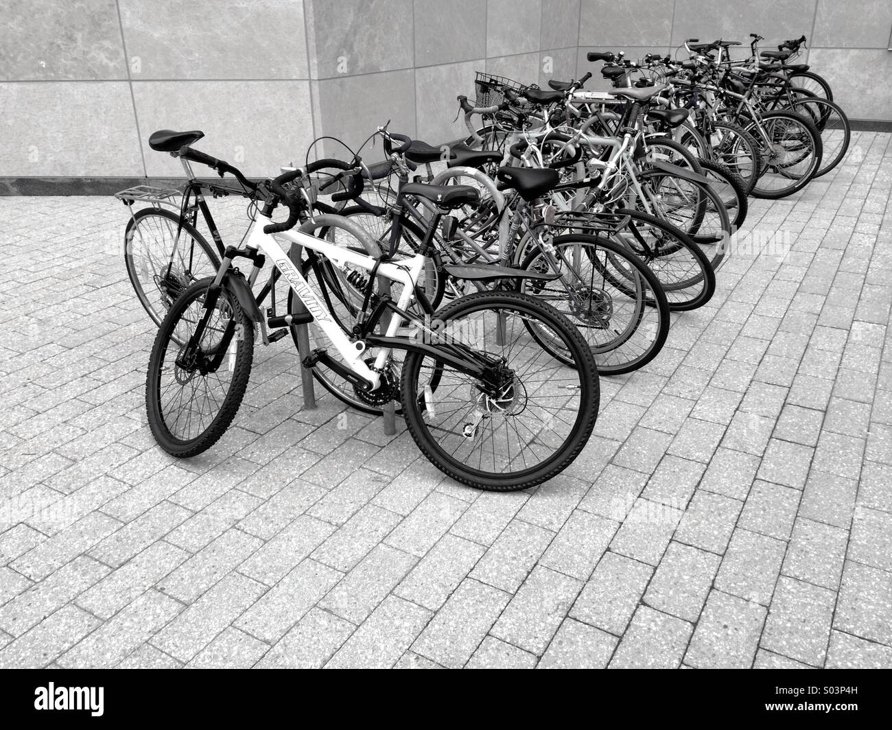 Black And White Bikes in einem Fahrradständer. Stockfoto