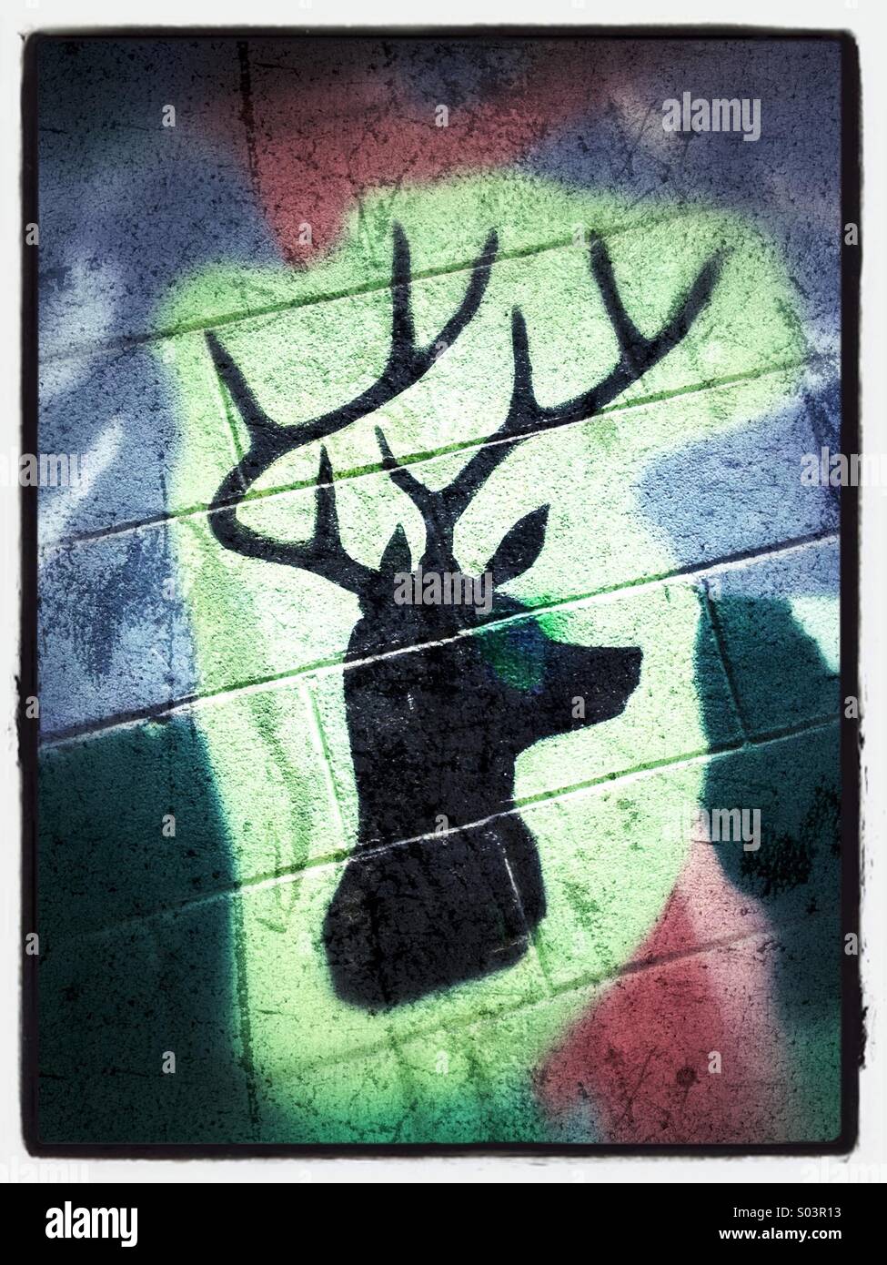 Detail der Wand Wandbild Darstellung Hirschkopf mit Geweih - Smartphone-aufgenommenes Stockfoto
