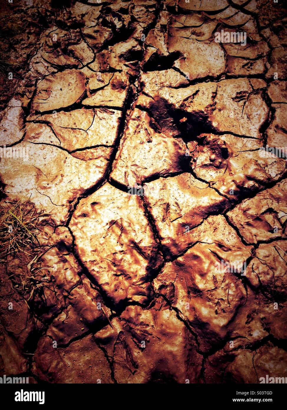 Trockene rissige Schlamm - Smartphone-aufgenommenes Stockfoto