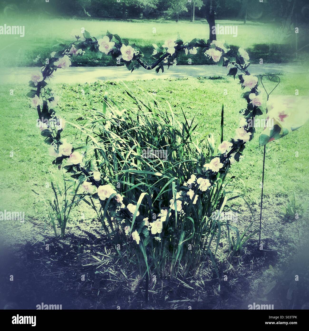 Blumen in der Form eines Herzens Stockfoto
