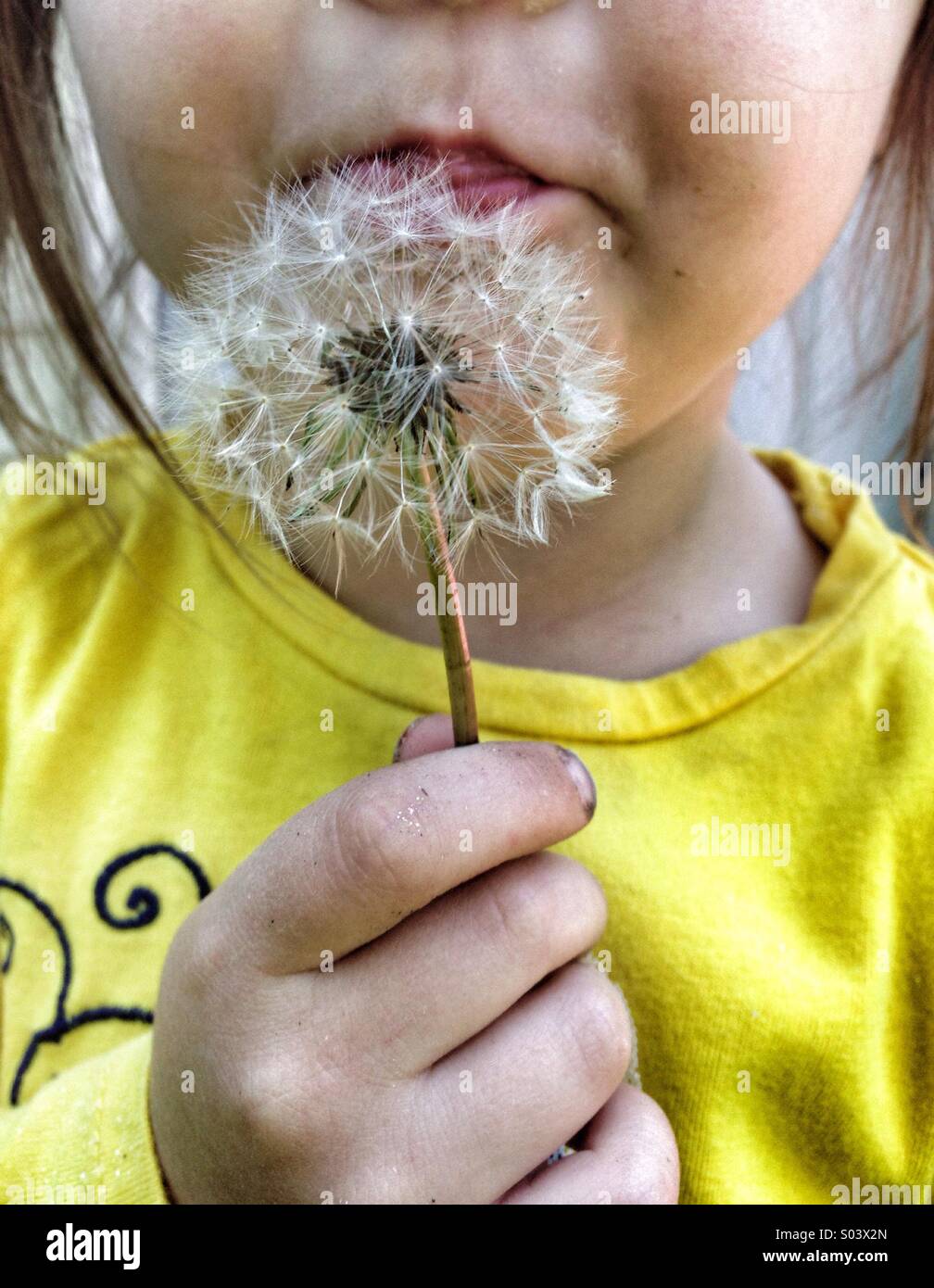 Mädchen und Löwenzahn Blume - Smartphone-aufgenommenes Stockfoto