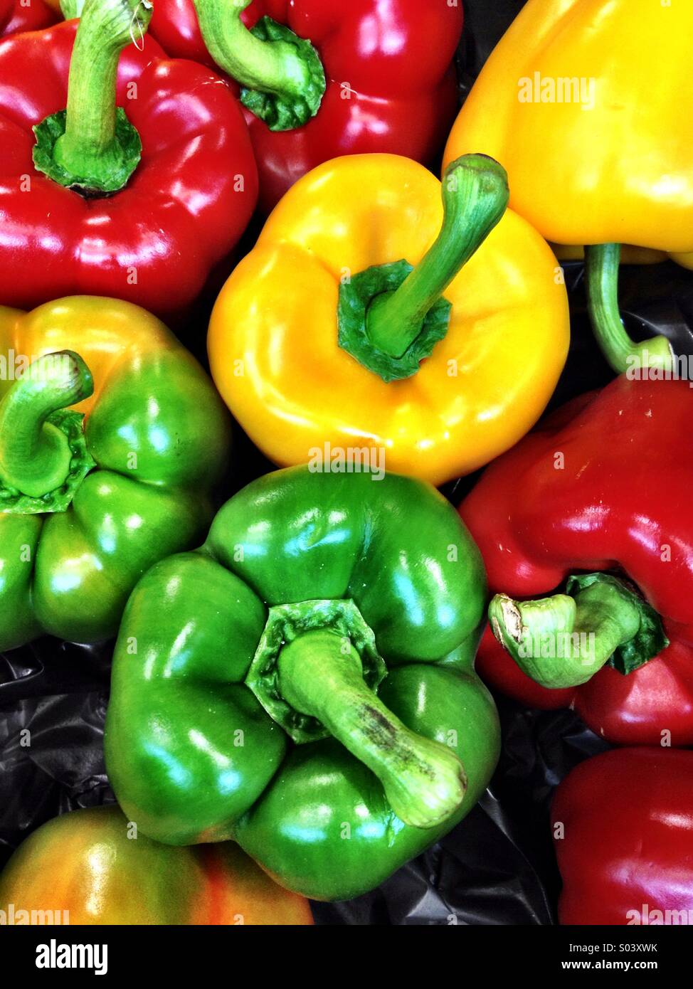Paprika Stockfoto