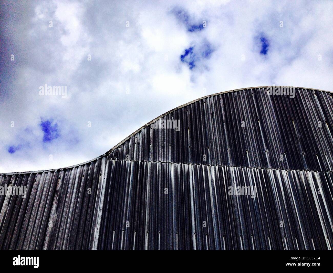 Schuppen-Textur Stockfoto