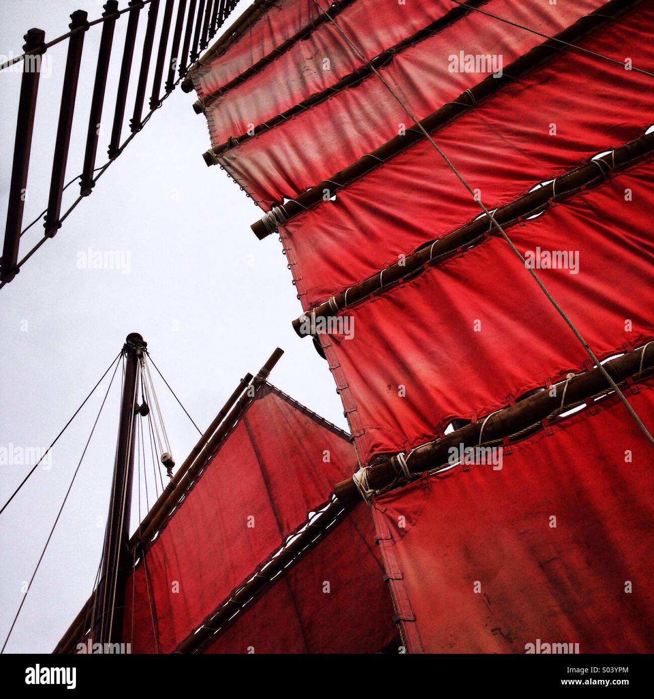 Rote Segel Stockfoto