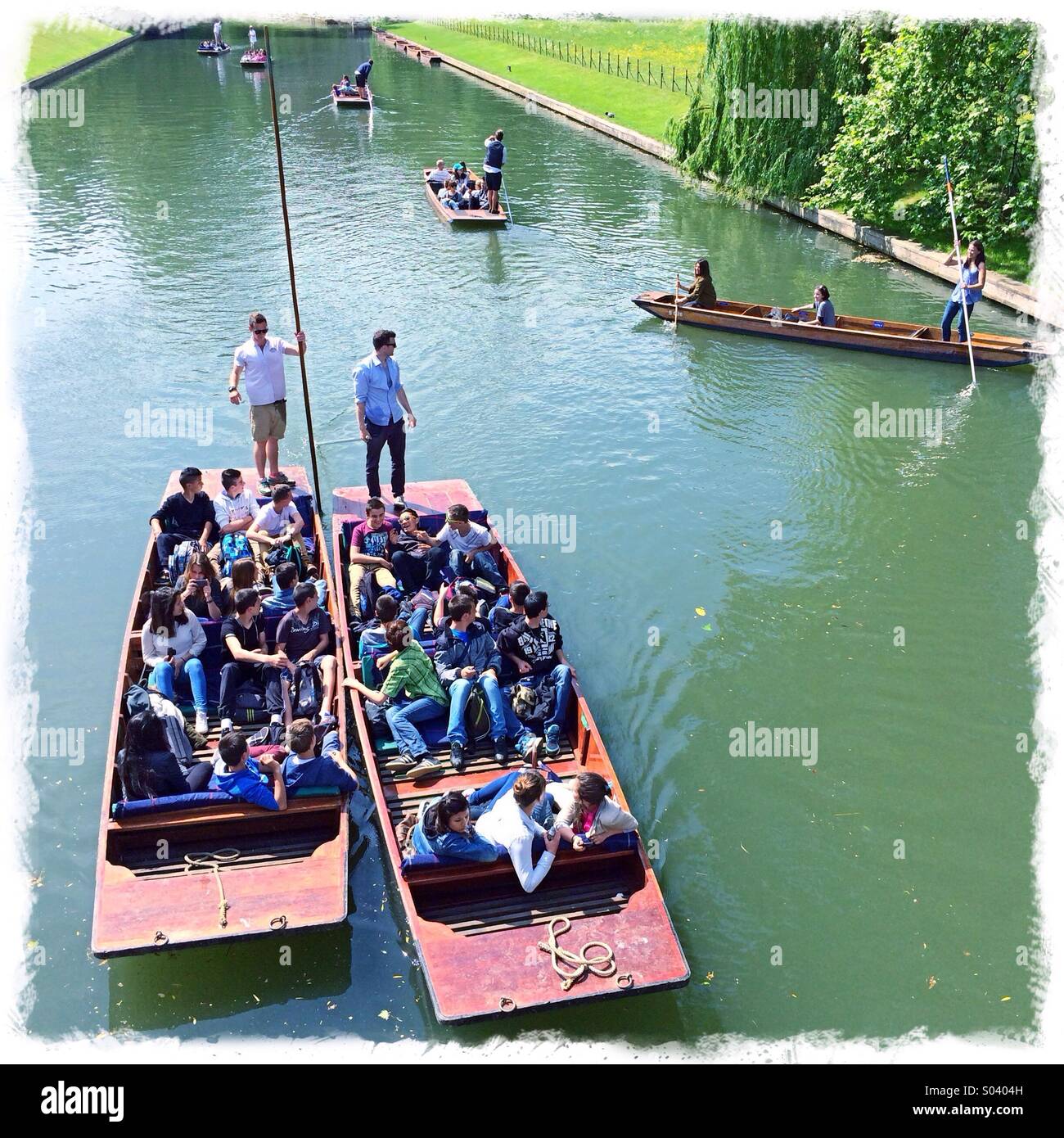 Stechkahn fahren Fluss Cam Cambridge UK Stockfoto