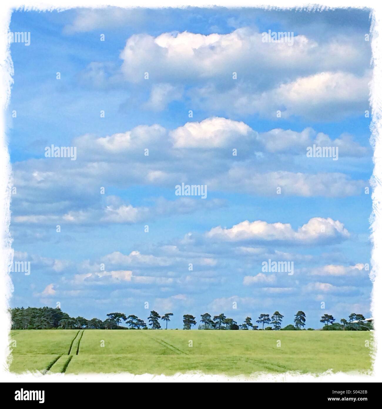 Britische Landschaft in Cambridgeshire Stockfoto