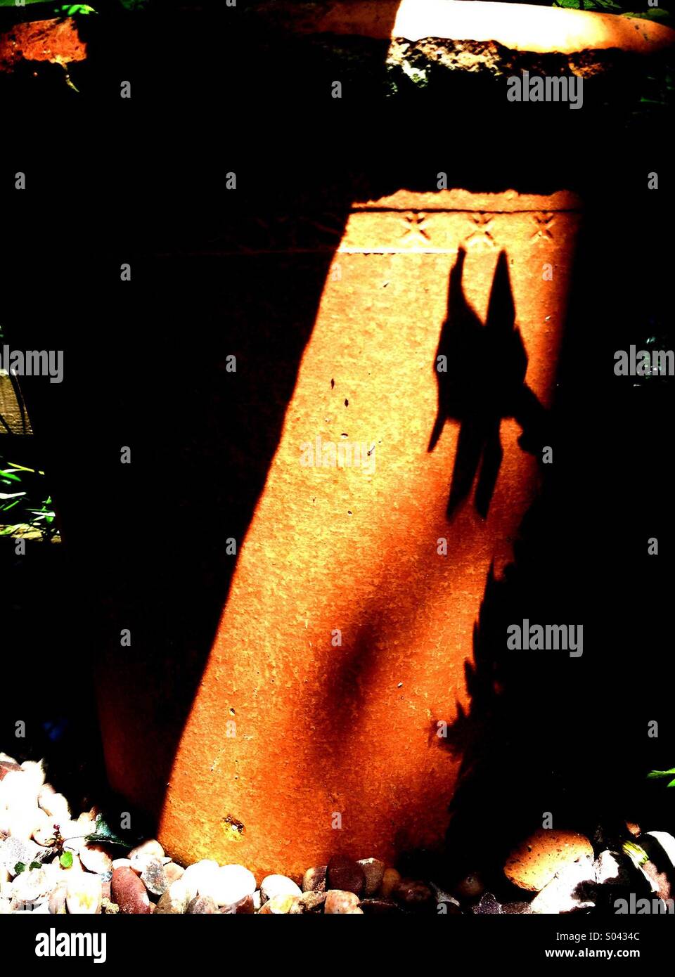 Terrakotta-Blumentopf Stockfoto