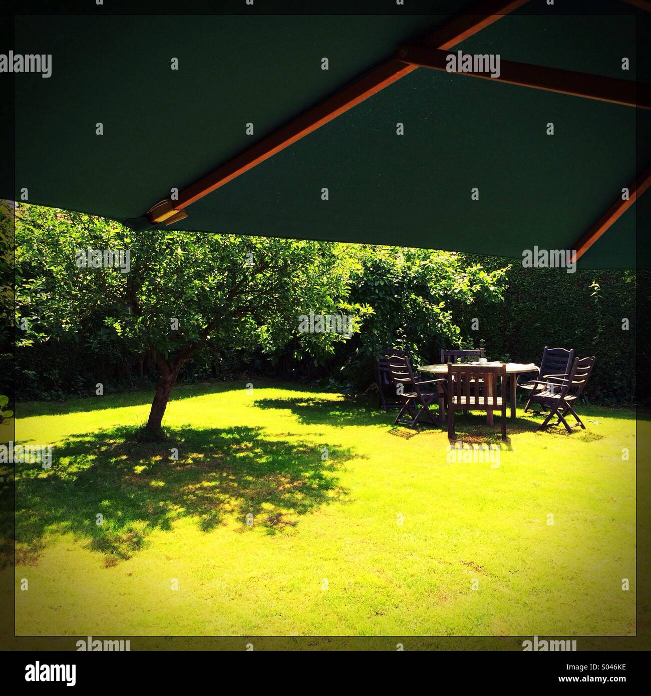 UK-Garten im Sommer-Sonne Stockfoto