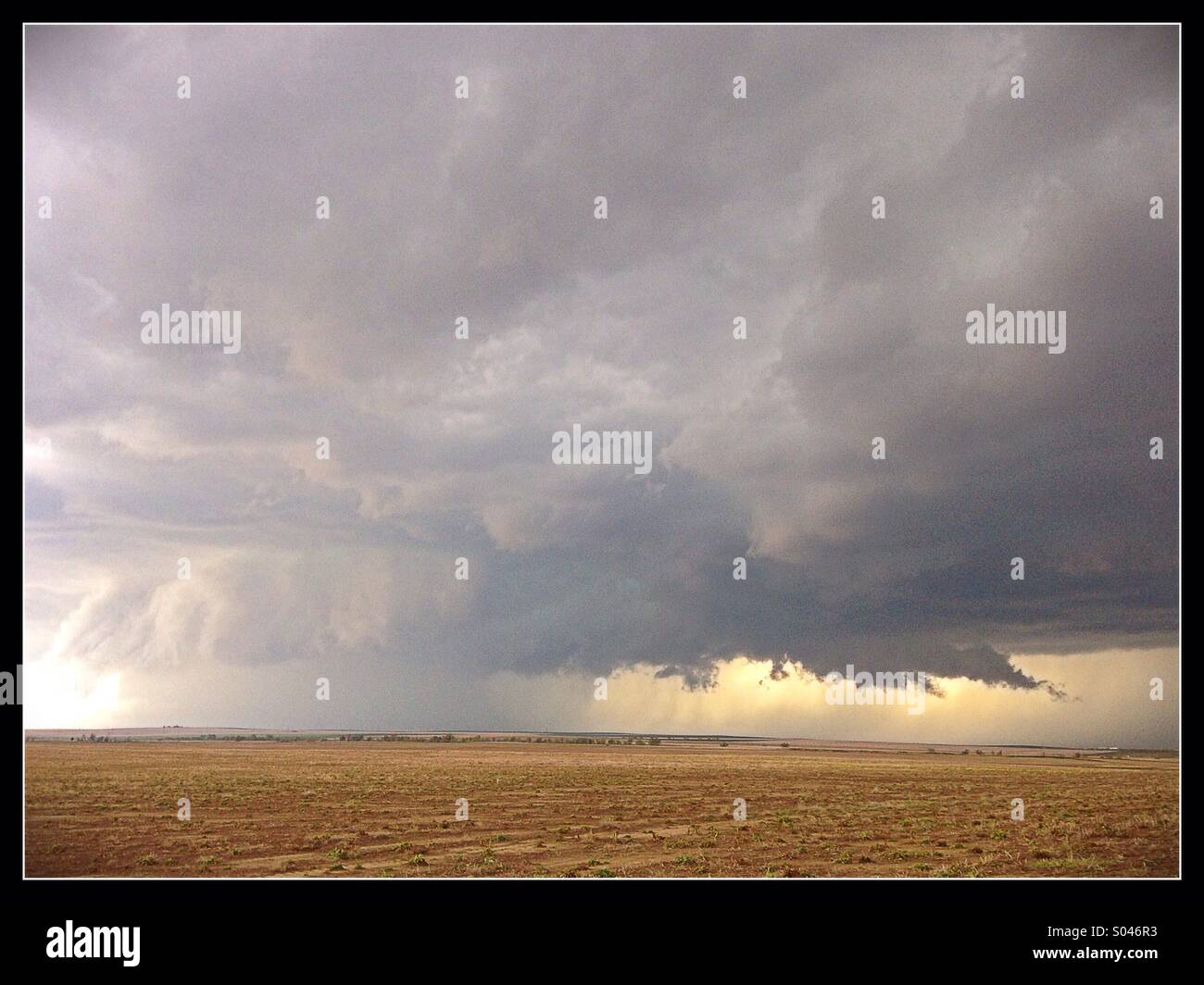 Eine große Gewitterwolke über ein Feld im östlichen Colorado. Stockfoto