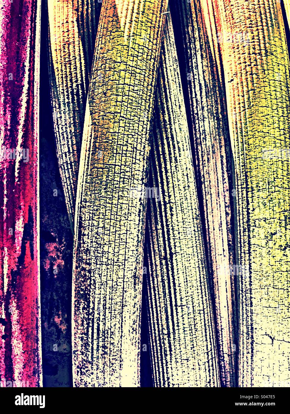 Verwitterte rissige Oldtimer Feuerwehrauto Schlauch - Smartphone-aufgenommenes Stockfoto