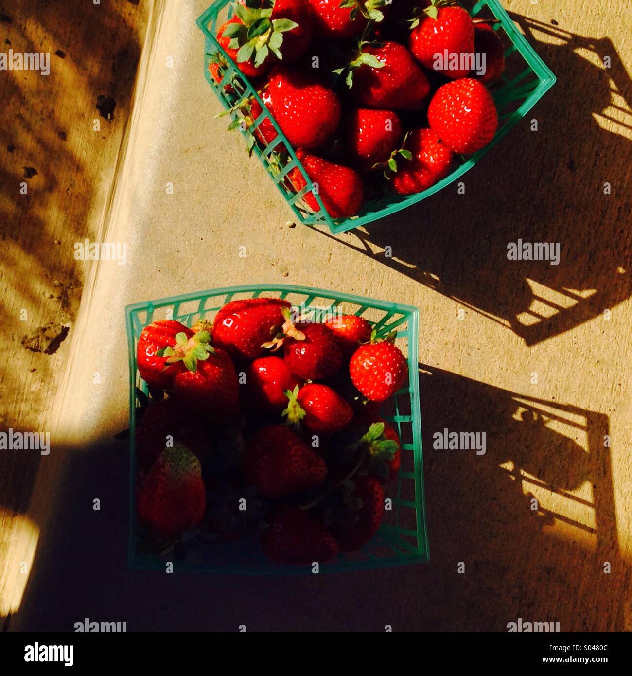 Reife rote Erdbeeren Stockfoto