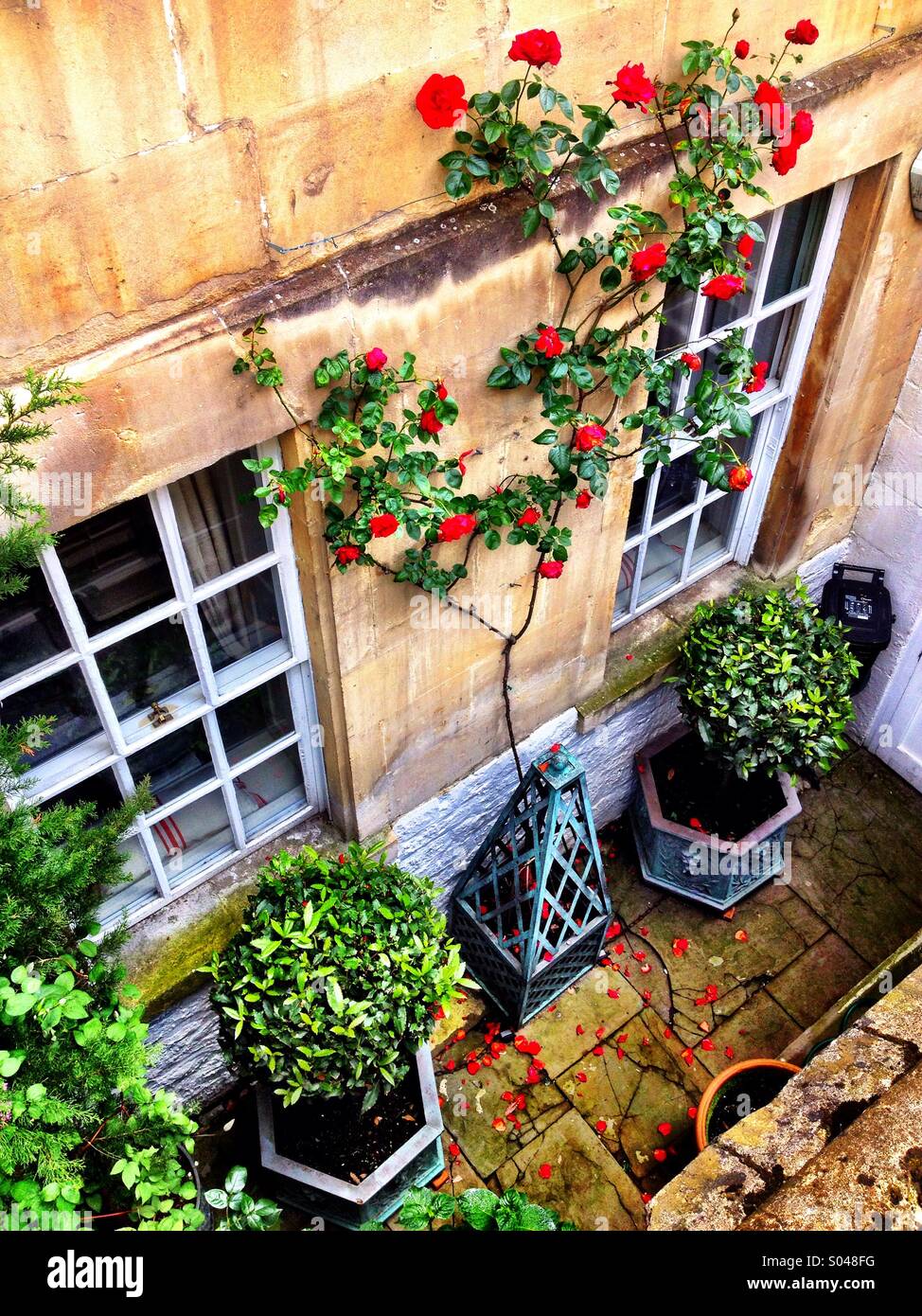 Terrasse-Farbe - Smartphone-aufgenommenes Stockfoto